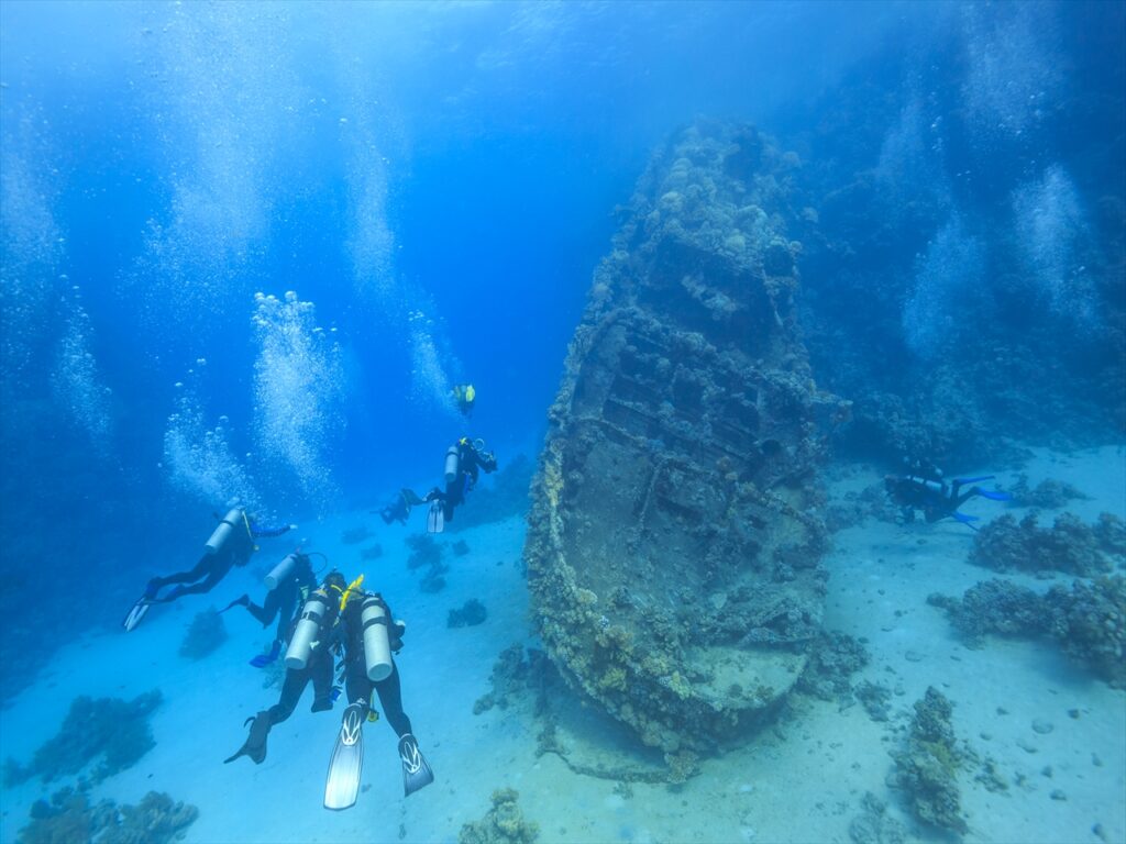 モルディブは、世界屈指のダイビングスポットとしても有名です。美しい珊瑚礁や豊富な海洋生物、透明度抜群の海が広がるモルディブでのダイビングは、まさに夢のような体験です。ここでは、モルディブでダイビングを楽しむ魅力をご紹介します。

まず、モルディブの海は、その透明度が非常に高く、水中での視界が抜群です。透明度が高いため、ダイビング中に珊瑚礁や海洋生物を鮮明に観察でき、まるで水中の別世界を旅しているかのような感覚に陥ります。

次に、モルディブの海は、生物の宝庫です。様々な種類の魚が泳いでおり、その数はなんと1,000種類以上。色とりどりの熱帯魚が群れをなして泳ぐ様子は、圧巻の光景です。また、珊瑚礁も多彩で、見事な形状や色彩を楽しむことができます。

さらに、モルディブのダイビングスポットでは、大型の海洋生物と出会うチャンスもあります。マンタやジンベエザメ、ウミガメ、イルカなど、迫力ある生物との遭遇は、感動的な瞬間です。特にマンタとジンベエザメは、モルディブが有名なスポットで、彼らの優雅な姿を間近で見ることができるのは、貴重な体験です。

また、モルディブでは、ダイビングの経験がない初心者でも安心して楽しめるプログラムが充実しています。専門のインストラクターが付いて、基本的なダイビング技術を丁寧に指導してくれるため、安心して海の中に潜ることができます。もちろん、経験豊富なダイバーにも、さまざまなレベルのダイビングスポットが用意されています。

モルディブでのダイビングは、まさに楽園の海を満喫する最高のアクティビティです。美しい海や珊瑚礁、そして多彩な海洋生物に囲まれながら、水中の世界を探検することは、一生の思い出になるでしょう。また、ダイビング後には、ビーチでリラックスしたり、ウォーターヴィラで寛いだりと、モルディブならではの贅沢な時間も楽しめます。